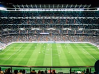 正在进行的世界杯比赛现场观众欢呼场景