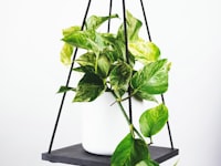 今日足球赛程日历与时钟图标